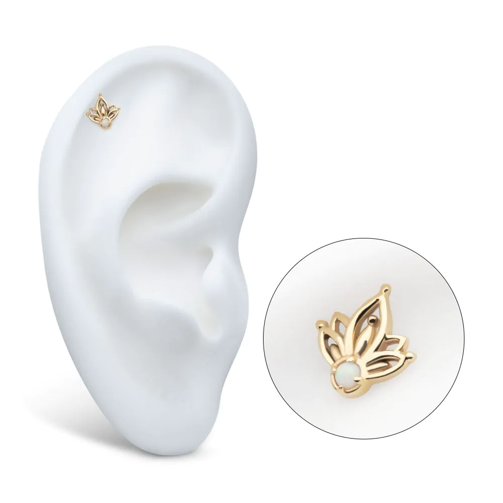 A 14k gold yellow petal-shaped stud earring with a white opal center, displayed on a model ear.