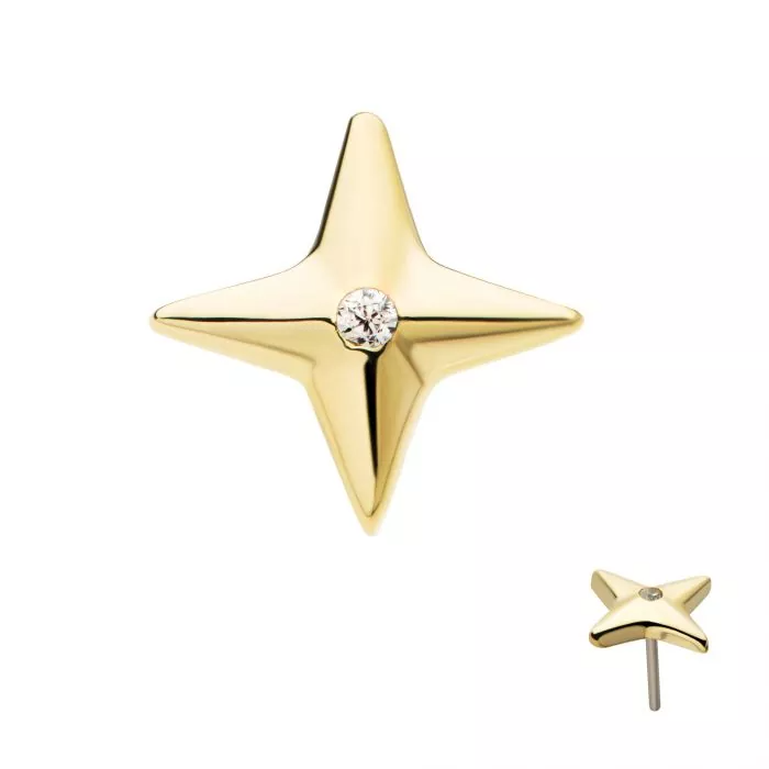 14k Gold Swarovski® Starburst