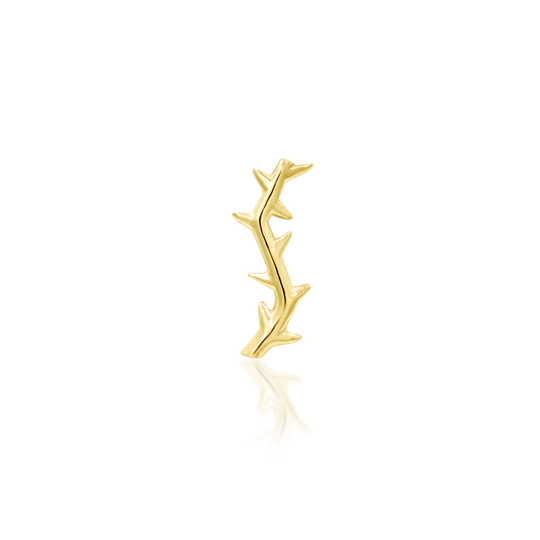 Thorn