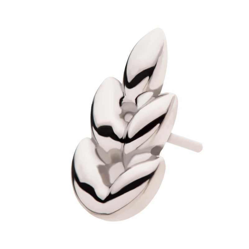 Ash Leaf